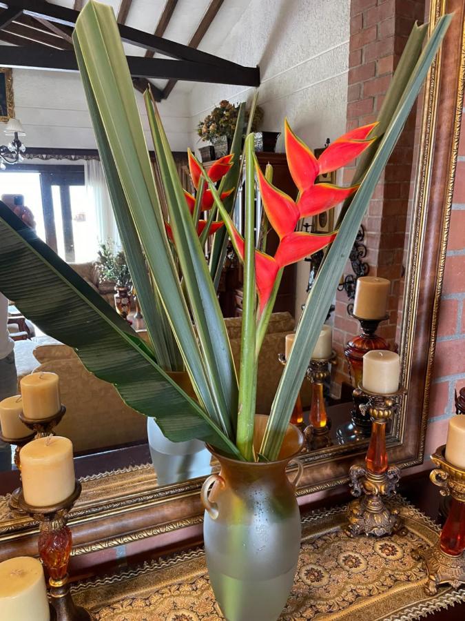 Finca Hotel Villa Camila Копакабана Экстерьер фото